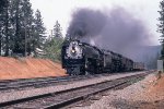 UP 8444 Steam Special on the way to the 1981 Sacramento Railfair